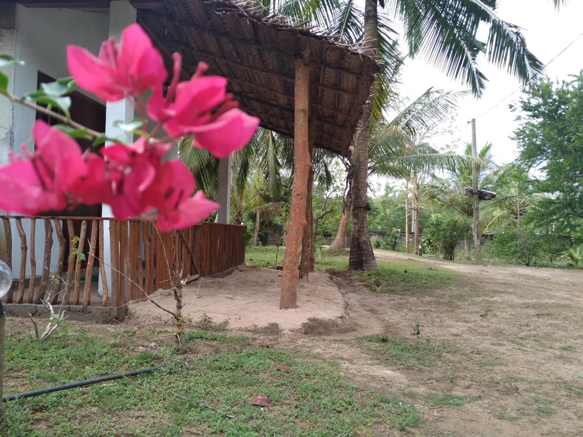 Soma Cabana, Homestay & Restaurant Tangalle Esterno foto