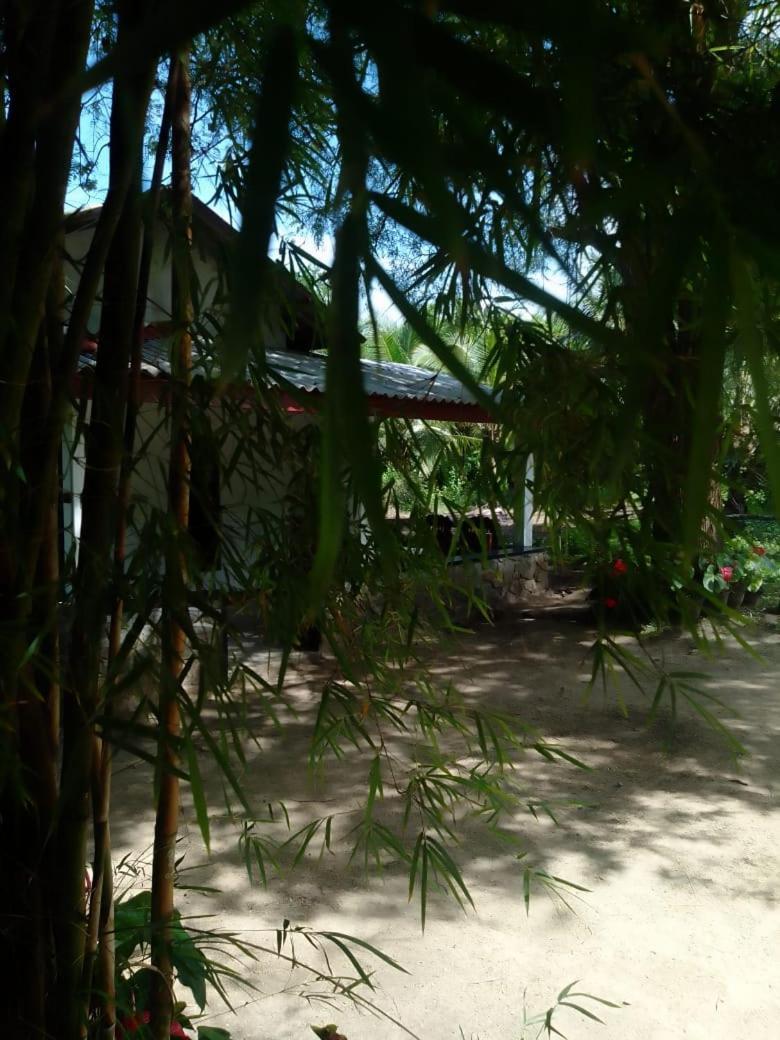 Soma Cabana, Homestay & Restaurant Tangalle Esterno foto