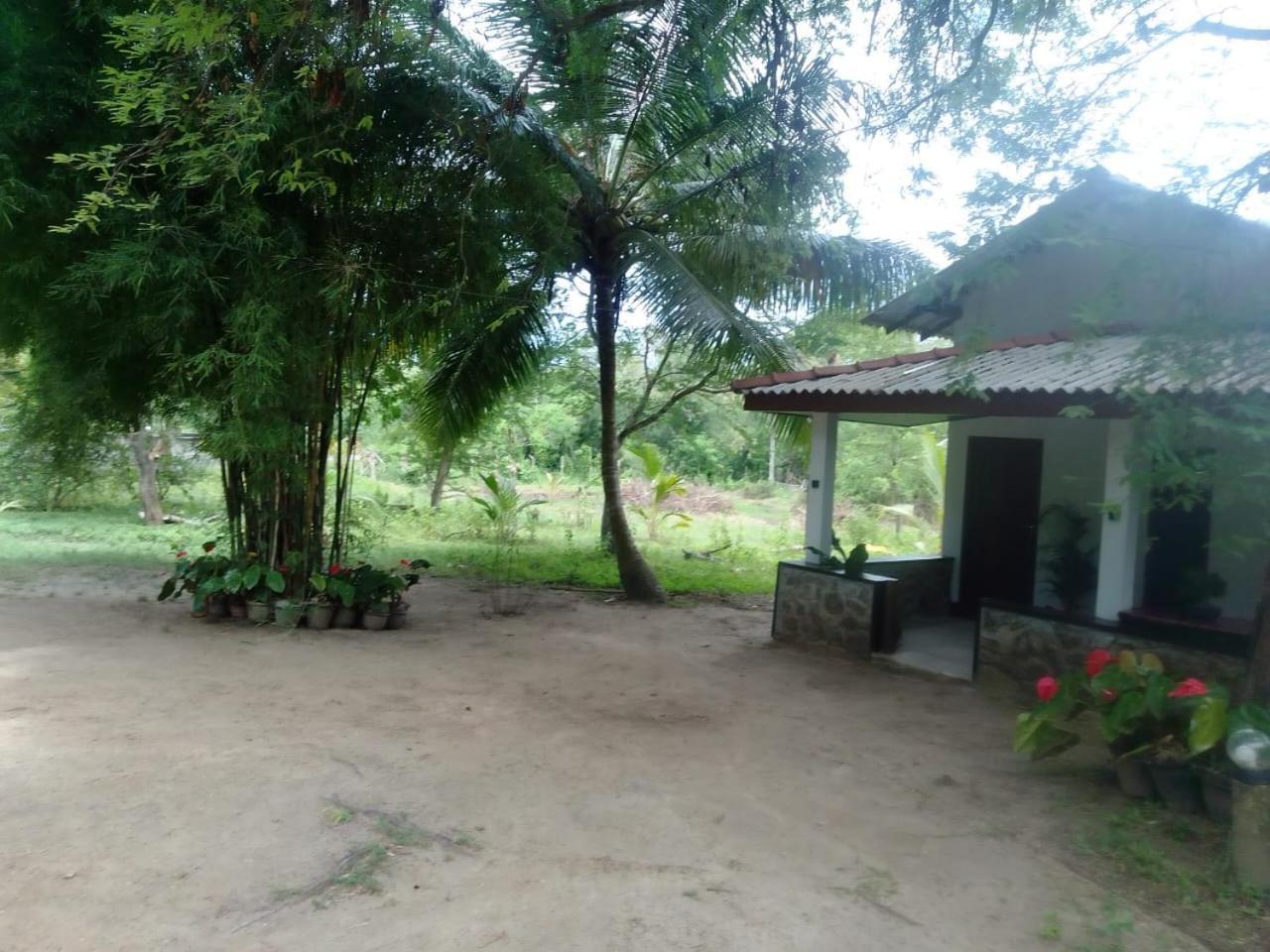 Soma Cabana, Homestay & Restaurant Tangalle Esterno foto