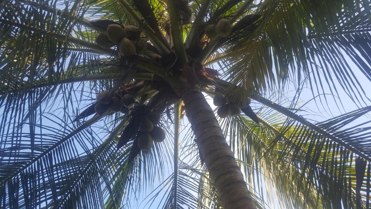 Soma Cabana, Homestay & Restaurant Tangalle Esterno foto